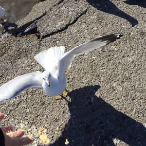 Meet your Posher, Efren